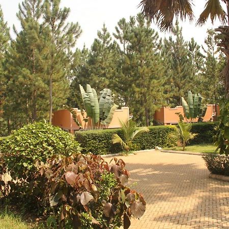 Masindi Saltek Forest Cottages מראה חיצוני תמונה