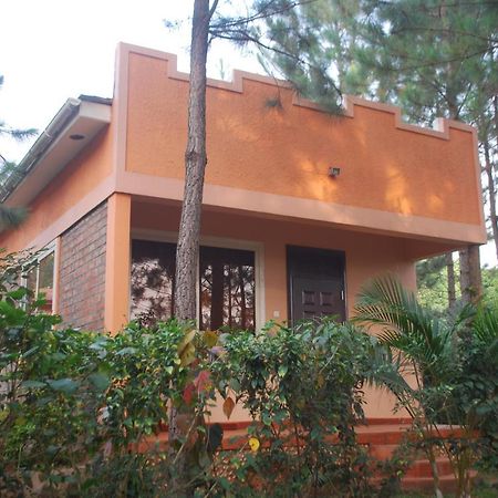 Masindi Saltek Forest Cottages מראה חיצוני תמונה
