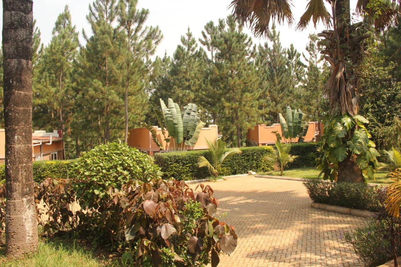 Masindi Saltek Forest Cottages מראה חיצוני תמונה