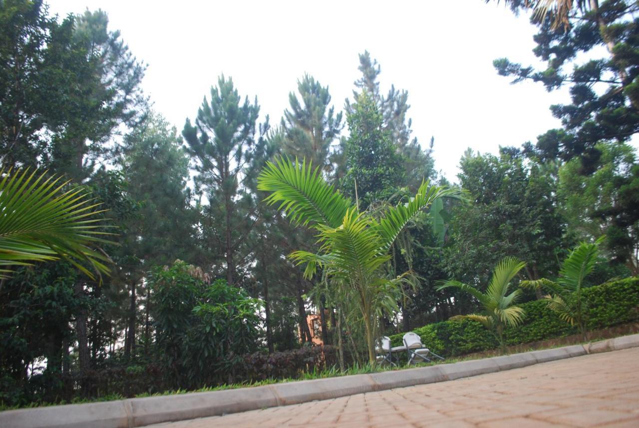 Masindi Saltek Forest Cottages מראה חיצוני תמונה