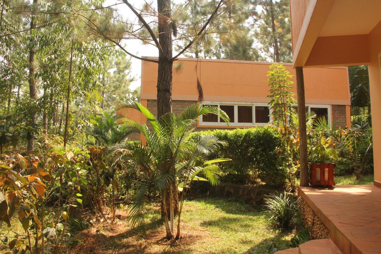 Masindi Saltek Forest Cottages מראה חיצוני תמונה